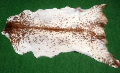 GOAT Western taxidermy Hide Rug Natural Pattern Fur Goat Hide Rode SA-285 - Image 1 of 3