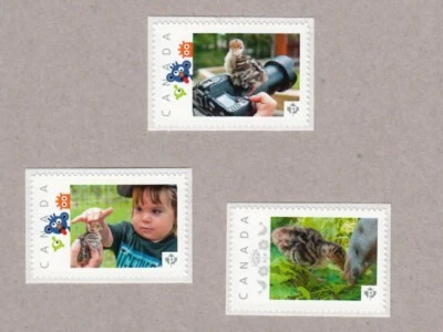 TURKEY CHICK = Juego de 3 sellos postales con foto ÚNICOS MNH Canadá 2016 [p16/08btu3] Foto 1 de 2