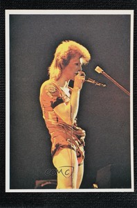 1974 Panini Top Sellers Picture Pop Stickers David Bowie #88 09gu