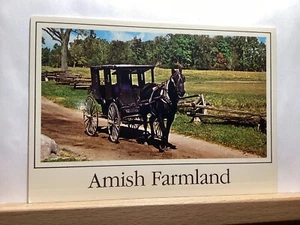 Amish Horse and Buggy, Amish Acres: Nappanee, IN - Postal de colección - Imagen 1 de 3
