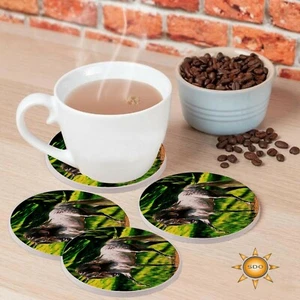 Semental Andaluz Caballo Bebida Posavasos Set de Regalo Piedra Arenisca Natural - Imagen 1 de 1