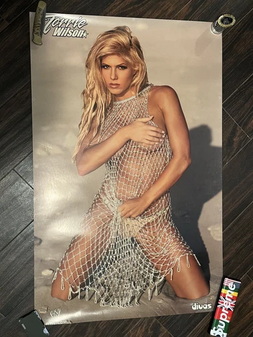 Vintage Official WWF WWE 2002 Divas Poster  Torrie Wilson 24x36” RARE Cover