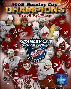 Lot of 25 2008 Detroit Red Wings Stanley Cup Champions Composite 8 x 10 Photo  - Picture 1 of 1