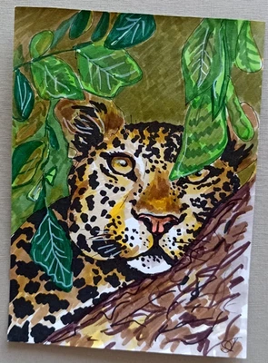 Retrato de leopardo animal África pintura original arte pintado a mano pequeño 6x4"" Foto 1 de 4