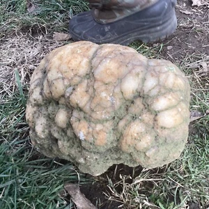 Cristales de geoda Indiana de 13 lb + minerales, fósil intacto joyería lapidario - Imagen 1 de 24