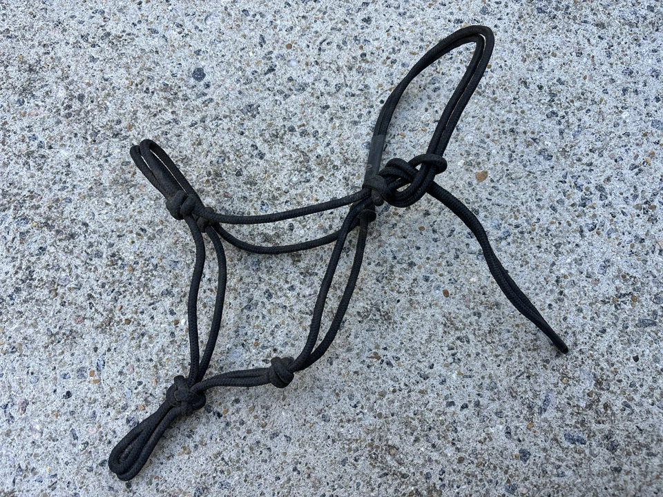 Halter recién nacido Clinton Anderson usado - MUY PEQUEÑO Foto 1 de 4