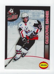 Reggie Traccitto  2008-09 Niagara IceDogs (Brampton Beast)