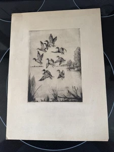 Antique Waterfowl Etching Unknown Artist - Picture 1 of 2