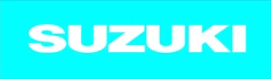 PLANTILLA DE ASIENTO SUZUKI - Imagen 1 de 1