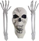 Halloween Haunters Scary Skeleton Bone Arms, Hands and Skull