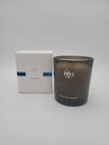 Aquiesse Luxury Soy Candle Ocean BREEZE 9 OZ New In Box Silver Brown USA Made - Picture 1 of 9