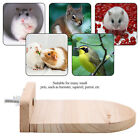 Hamster Springboard Toy Squirrel Wooden Springboard Bridge Toy Gsa