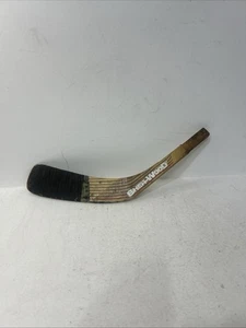 Branches Evolution P99 Fiberglass Hockey Stick Blade USA - Picture 1 of 6