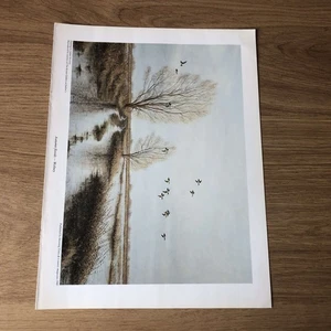 GUNS132 SPORTDRUCKE 12X9 "AUTUMN FLOODS WELNEY" JULIAN NOVOROL - Bild 1 von 1