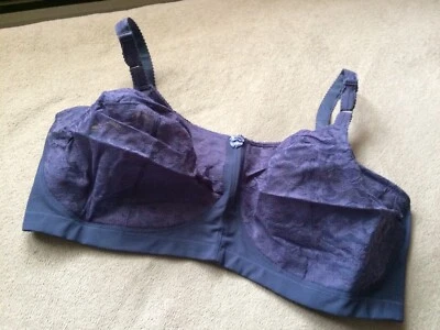 Goddess BBW 48FF Blue Dahlia Vintage Full Coverage   Lace Soft Cup Style 386 NIB - Image 1 of 4