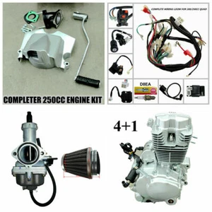 250cc Zongshen Air Cooled Engine Motor Quad Bike Chinese + Carby Kit + Wiring - Picture 1 of 11