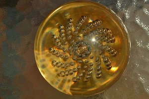 Orrefors Glass Paperweight with Controlled Bubbles & Gold Bottom, Etched, M15 - Picture 1 of 7