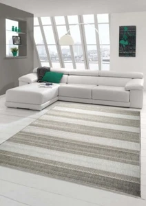 Teppich Modern Flachgewebe Gestreift Sisal Optik Küchenteppich Küchenläufer Grau - Bild 1 von 7