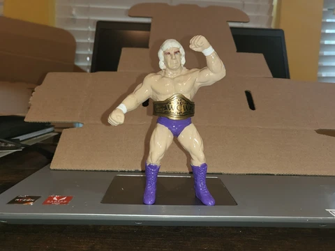 WWF WCW HASBRO RIC FLAIR PURPLE GALOOB WRESTLING FIGURE MATTEL Cover