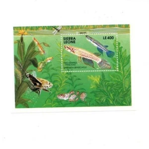 Sierra Leone 1991 - Two-Striped Panchax, Fish - Souvenir Sheet - Sc 1364 - MNH - Picture 1 of 1