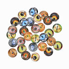  100 Pcs Animal Eye Glass Sticker K5 Flatback Cabochons for Craft Round