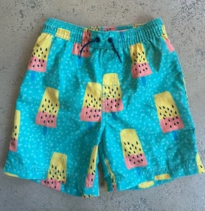 Boys Tea Collection Ice Pops Swim Trunks Lined Bathing Suits Size 7 EUC - Picture 1 of 3