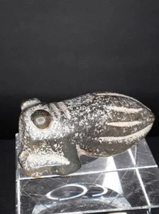 Neolithic Hongshan Nephrite Jade Cicada Insect figure - Picture 1 of 8