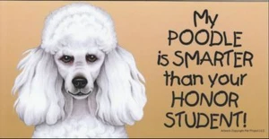 Mein Pudel ist schlauer als dein Ehren Schüler Magnet 4x8 Kühlschrank Auto Hund - Bild 1 von 1