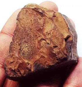 100% Natural Tiger Eye Rough 269.85 Ct Loose Gemstone Certified - Picture 1 of 6