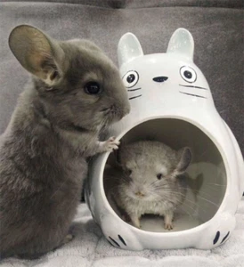 Japanese Style Hideouts!/TOTORO Hideout(M) - Picture 1 of 3