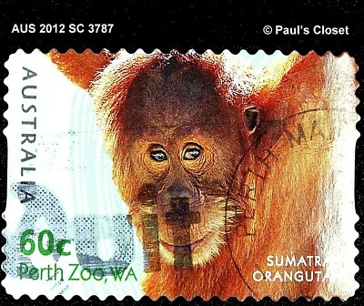 AUSTRALIA 2012 SC 3787 ~ SUMATRAN ORANGUTAN 60¢ USED NO GUM VERY FINE - Image 1 of 2
