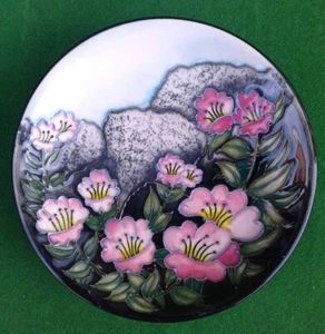 MOORCROFT “ROCKY SHORE” PIN DISH - BOXED. - Picture 1 of 9