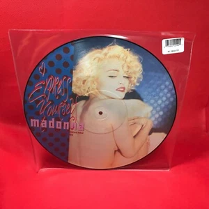 MADONNA Express Yourself 1989 UK 12" vinyl Picture Disc single record original - Picture 1 of 3