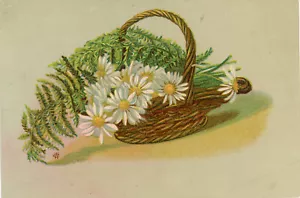 Tarjeta comercial victoriana Flower Basket - Imagen 1 de 1