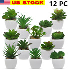12 Mini Assorted Green Artificial Succulent Plant Faux Potted in Ceramic Planter
