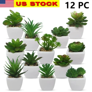 12 Mini Assorted Green Artificial Succulent Plant Faux Potted in Ceramic Planter - Picture 1 of 7