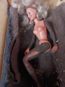 Barbie sporca horror gotico shock art sporcizia naturale raccapricciante fetish morto sepolto - Foto 1 di 7