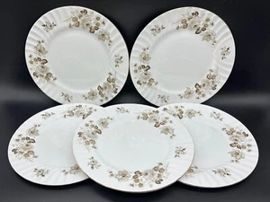 Queen Anne Terra Nova 10.5" Dinner Plates(Set of 5) Bone China England - Picture 1 of 4