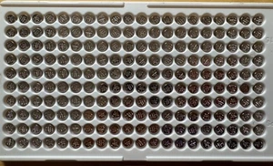 Bandeja a granel de batería de reloj Murata 377 SR626S 100 [Exp. 10/2032] Enviado desde CA - Imagen 1 de 4