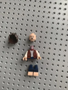 NEW LEGO 10354 Lord of the Rings: The Shire FRODO Minifigure never assembled - Picture 1 of 7