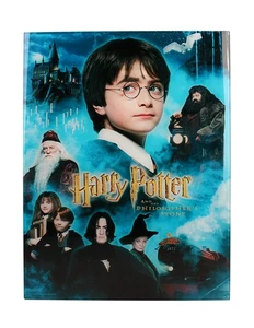 Harry Potter - Impression en Verre - Philosopher's Stone - 30X40 cm - Afbeelding 1 van 7