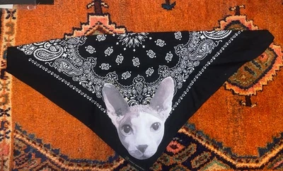 Original Kafka Is Famous Paste Up Art Painting STREET ART Banksy Graffiti NYC - image 1 of 4