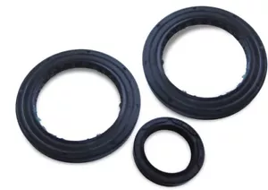 Polaris Sportsman Magnum (96-02) Rear Diff Gearcase Oil Seal Kit 3233256 3233319 - Picture 1 of 3