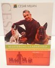 Cesar Millan Mastering Leadership Vol 1-3 Hundetrainingstechniken 3 DVD Box Set