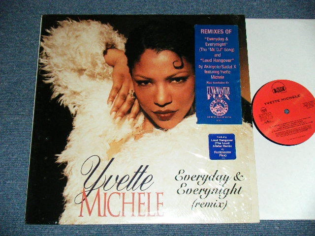 YVETTE MICHELE US AMERICA 1996 12" EVERYDAY & EVERYNIGHT ship from Japan Foto 1 de 4