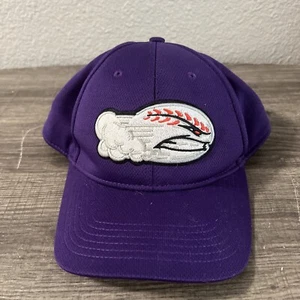Winston Salem Dash New Era Fitted OSFM Baseball Cap Hat Minor League - Picture 1 of 11
