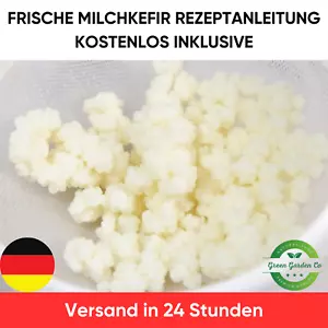 Milchkefir Kefirknollen Kefirpilz & Rezeptanleitung (10g) - Bild 1 von 2