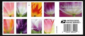 #5767-5776 Tulip Blossoms B1111 (forever) 2023 Issue - MNH Booklet Pane of 20 - Picture 1 of 2