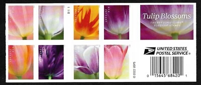 #5767-5776 Tulip Blossoms B1111 (forever) 2023 Issue - MNH Booklet Pane of 20 - Image 1 of 2