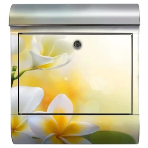 Briefkasten Weiß Blume Gelb Garten Natur Farben Flora Blüten Blüte Zweig Ast  - Bild 1 von 9